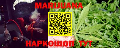 молекула духа Будённовск