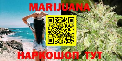 молекула духа Будённовск