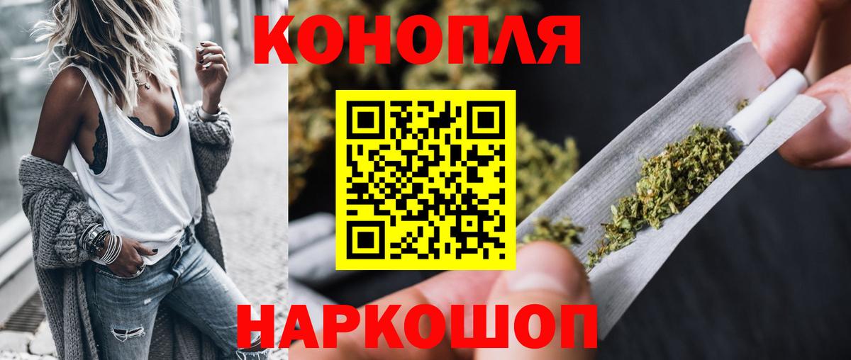 Канабис планчик Сыктывкар